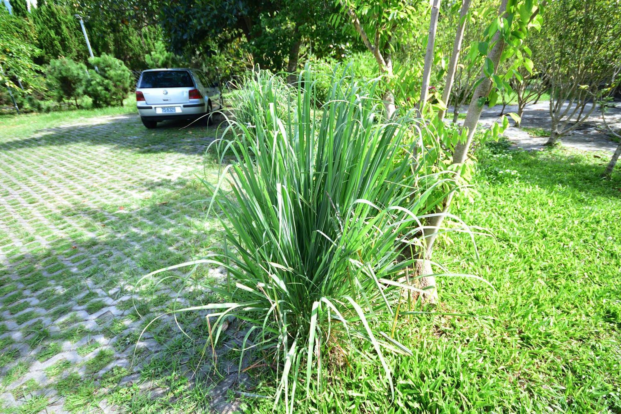 Chin Shan B&B Guanshan Luaran gambar