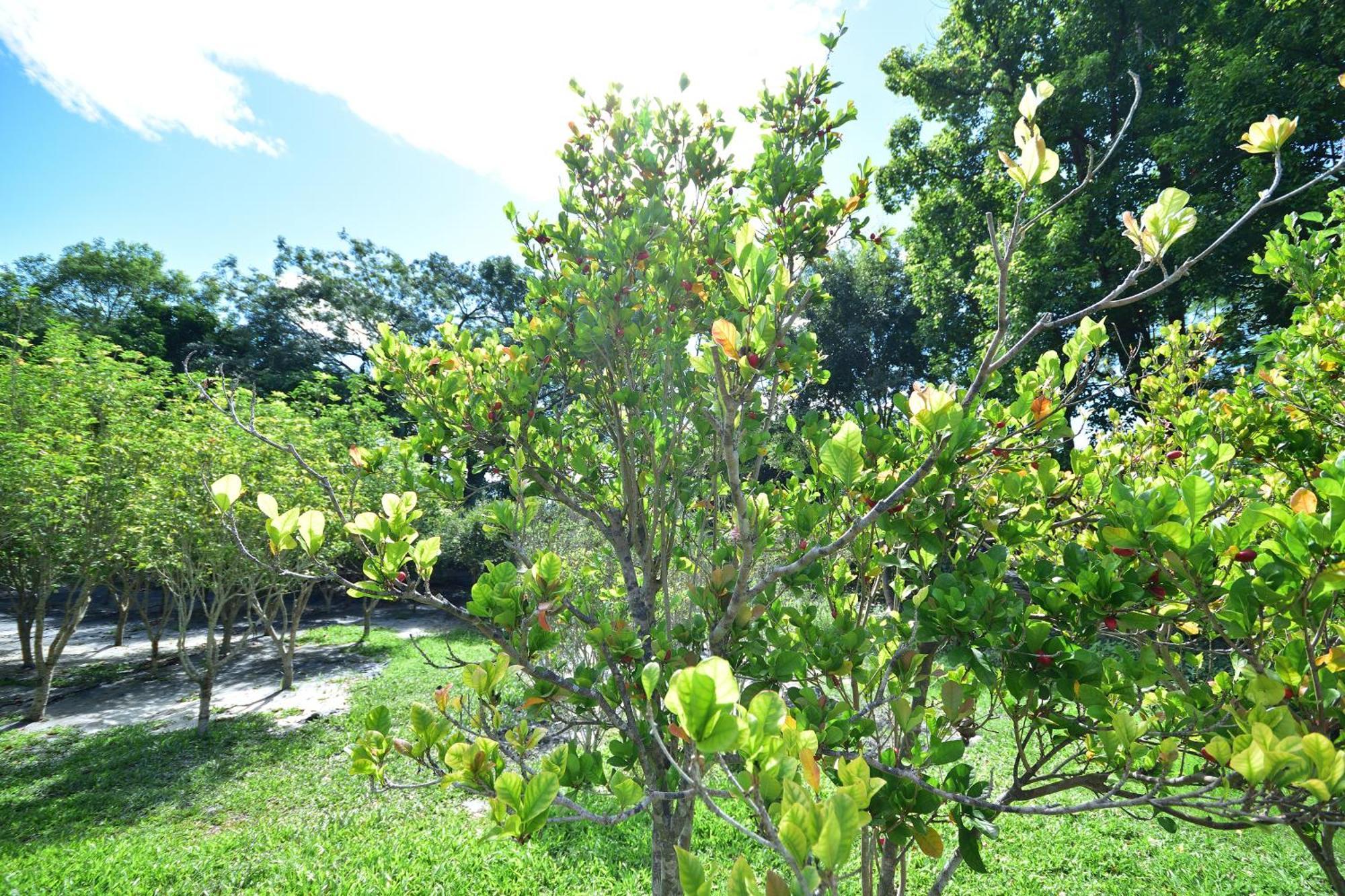 Chin Shan B&B Guanshan Luaran gambar